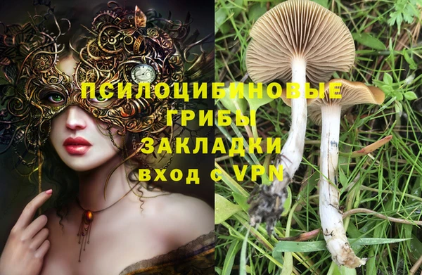 мет Баксан
