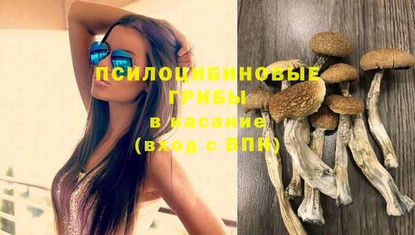 мет Баксан