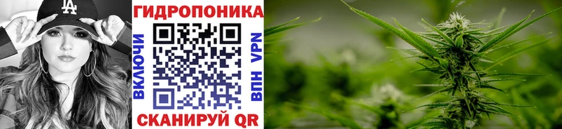 даркнет сайт  Новое Девяткино  Шишки марихуана сатива 
